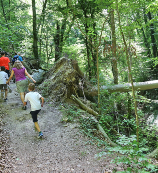 BR13 - Untergrombach Ungeheuerklamm Weiertle