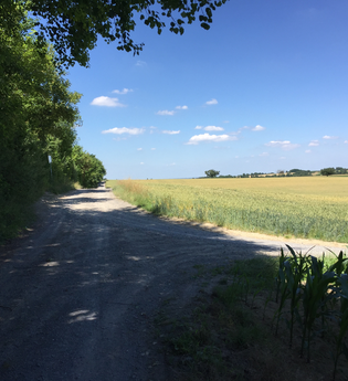 BR3 - Rundwanderweg Eichelberg | © BTMV GmbH