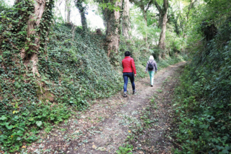 BR7 - Hohlwegewanderung Naturschutzgebiet Rotenberg und Steinbruch Steiner