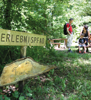 BR9 - Heidelsheim "Laubige Eiche"