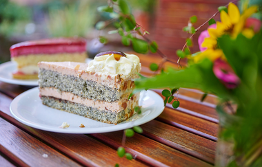 BRA1 Wanderdreiklang | Kuchenpause beim Winzercafé Neipperg | © Neckar-Zaber-Tourismus e.V.