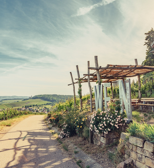 Weinausschank im Zweifelberg | Weinsüden Weinort Brackenheim | HeilbronnerLand | © Touristikgemeinschaft HeilbronnerLand