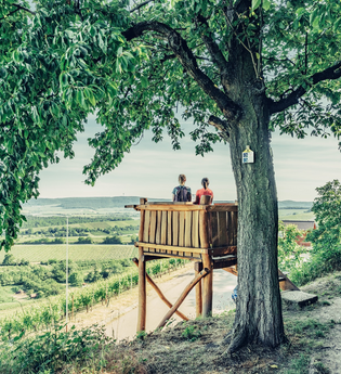 Aussichtspunkt Zweifelberg | Brackenheim im HeilbronnerLand | © Christian Frumolt | Touristikgemeinschaft HeilbronnerLand e.V.