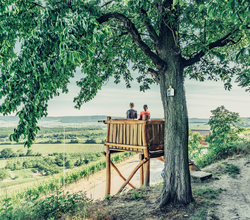 Aussichtspunkt Zweifelberg | Brackenheim im HeilbronnerLand | © Christian Frumolt | Touristikgemeinschaft HeilbronnerLand e.V.