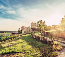Burg Neipperg | Brackenheim im HeilbronnerLand | © Christian Frumolt | Touristikgemeinschaft HeilbronnerLand e.V.