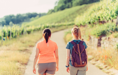 Wanderinnen in den Weinbergen bei Brackenheim | © Touristikgemeinschaft HeilbronnerLand e.V.