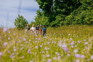 Brettach, Wandern, Bretzfeld, Hohenlohe | © Hohenloher Perlen