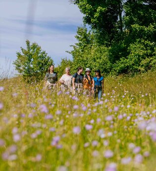 Brettach, Wandern, Bretzfeld, Hohenlohe | © Hohenloher Perlen