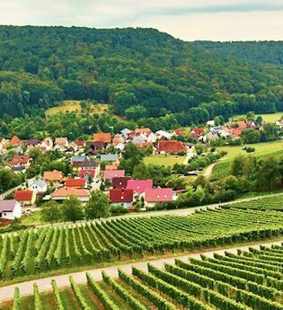 Der Ort Geddelsbach wird von Weinbergen und Wald umrahmt | © Hohenloher Perlen