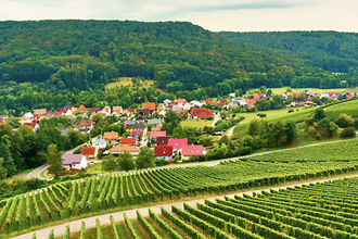 Der Ort Geddelsbach wird von Weinbergen und Wald umrahmt | © Hohenloher Perlen