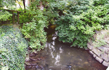 Der Fluss ist von Efeu und Büschen umgeben | © Touristikgemeinschaft Hohenlohe, Künzelsau e. V.