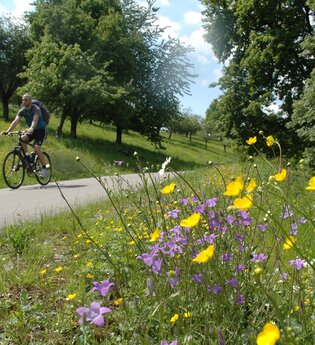 am Brettachtal-Radweg | HeilbronnerLand | © Touristikgemeinschaft HeilbronnerLand