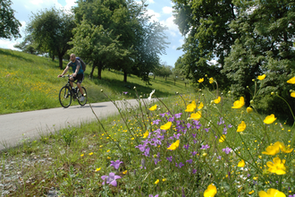 am Brettachtal-Radweg | HeilbronnerLand | © Touristikgemeinschaft HeilbronnerLand