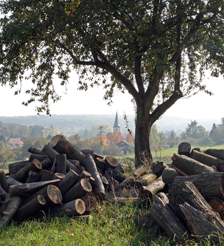 Bretten/Bauerbach: Talbrücken-Rundweg | © Bildband Bretten