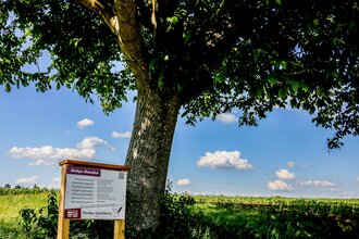 Bretten/Büchig - Büchiger Gedichteweg | © Stadt Bretten