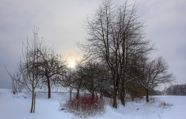 Bretten/Diedelsheim: Buchwald-Rundweg | © Stadtverwaltung Bretten