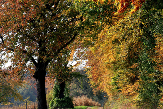 Bretten/Diedelsheim: Seebergweg | © Stadt Bretten