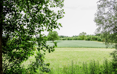 Bretten/Gölshausen: Blicklesweg | © Stadtverwaltung Bretten