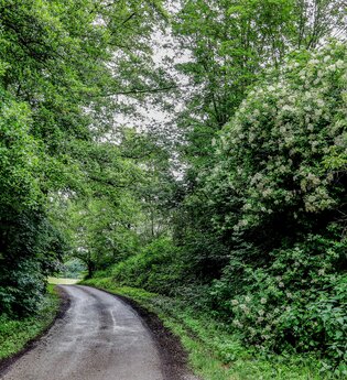 Bretten/Gölshausen: Fitness-Trail | © Stadtverwaltung Bretten