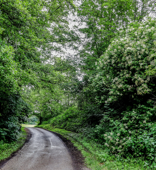 Bretten/Gölshausen: Fitness-Trail | © Stadtverwaltung Bretten