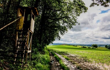 Bretten: Hans-Entenkopf-Weg | © Stadt Bretten
