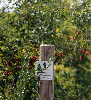 Bretten/Neibsheim: Neibsheimer Gemarkung | © Stadt Bretten