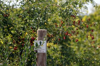 Bretten/Neibsheim: Neibsheimer Gemarkung | © Stadt Bretten