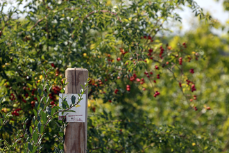 Bretten/Neibsheim: Neibsheimer Gemarkung | © Stadt Bretten