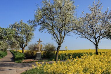 © Stadt Bretten