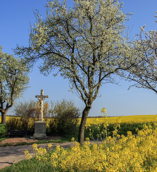 Bretten/Neibsheim: Neibsheimer Sehenswürdigkeiten | © Stadt Bretten