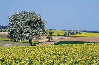 © Bildband Bretten / Stadt Bretten