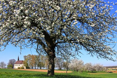 © Stadt Bretten