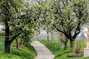 © Stadt Bretten