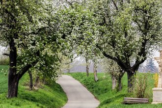 Bretten/Neibsheim: Wegkreuze und Bildstöcke | © Stadt Bretten