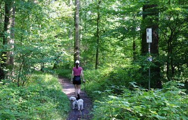 Brettwald-Trail | © Unbekannt