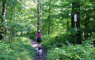 Brettwald-Trail | © Unbekannt