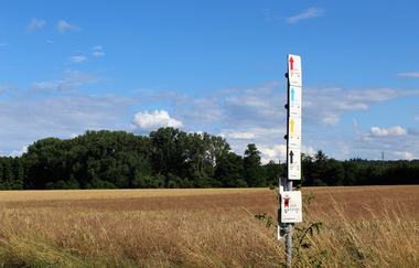 Brettwald-Trail | © Unbekannt