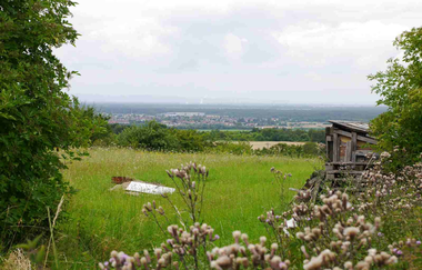 Brunnenweg IVV Kraichtal-Unteröwisheim - Besenhex | © Stadtmarketing Kraichtal