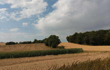 Brunnenweg IVV Kraichtal-Unteröwisheim - Besenhex | © Land der 1000 Hügel - Kraichgau-Stromberg