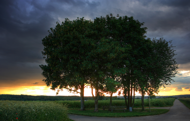 BT1 - Großer Brettener Südweg | © Bildband Bretten