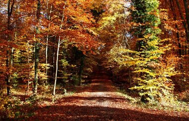 BT1 - Großer Brettener Südweg | © Tourist-Info Bretten