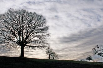 BT2 - Kleiner Brettener Südweg | © Bildband Bretten
