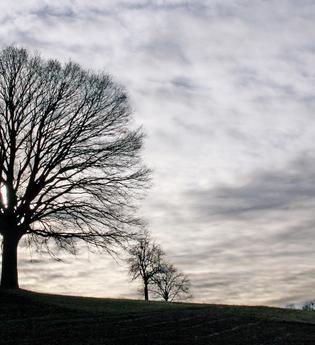 BT2 - Kleiner Brettener Südweg | © Bildband Bretten