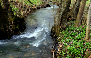 BT2 - Kleiner Brettener Südweg | © Bildband Bretten