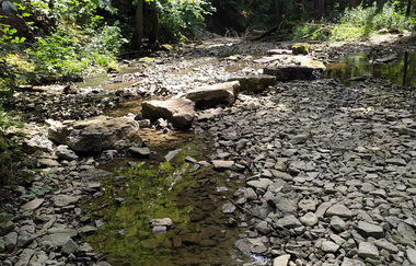 Wandern durch die Schmerachklinge | © Hohenlohe Schwäbisch Hall