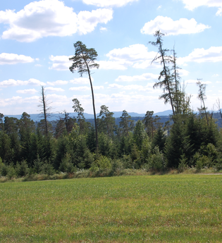 Ausblick vom Büchelberger Grat | © Hohenlohe + Schwäbisch Hall Tourismus e. V.