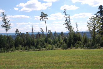 Ausblick vom Büchelberger Grat | © Hohenlohe + Schwäbisch Hall Tourismus e. V.
