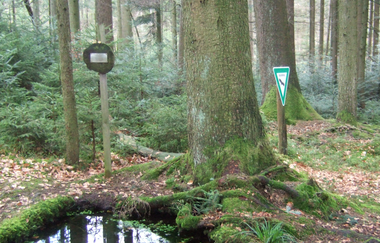 Berrothsbrunnen als Bühlerquelle bei Pommertsweiler | © Hohenlohe + Schwäbisch Hall Tourismus e. V.