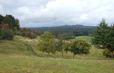 Blick zum Altenberg Turm | © Hohenlohe + Schwäbisch Hall Tourismus e. V.
