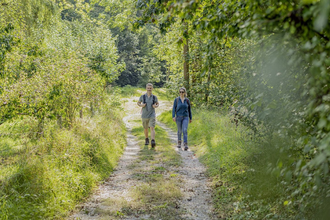 Wandern im Bühlertal | © Hohenlohe + Schwäbisch Hall Tourismus e. V.